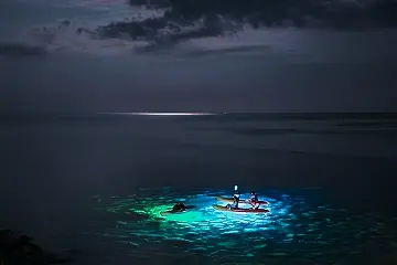 Night Light - glowing night kayak tour