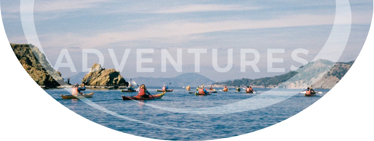 Guided kayak tours on the coast: group paddling near rocky cliffs