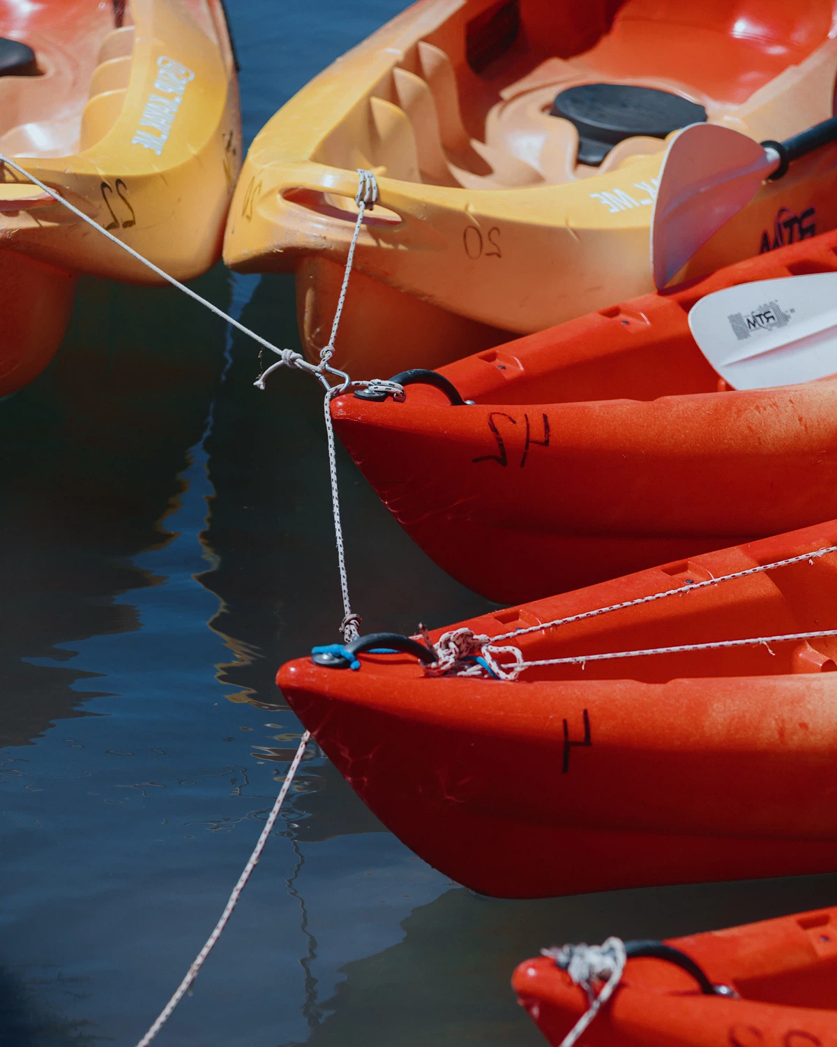 Red kayak bows lined up on a wooden dock ready to launch