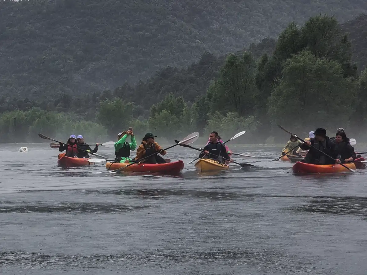 Group of kayakers touring Skadar Lake on a misty morning