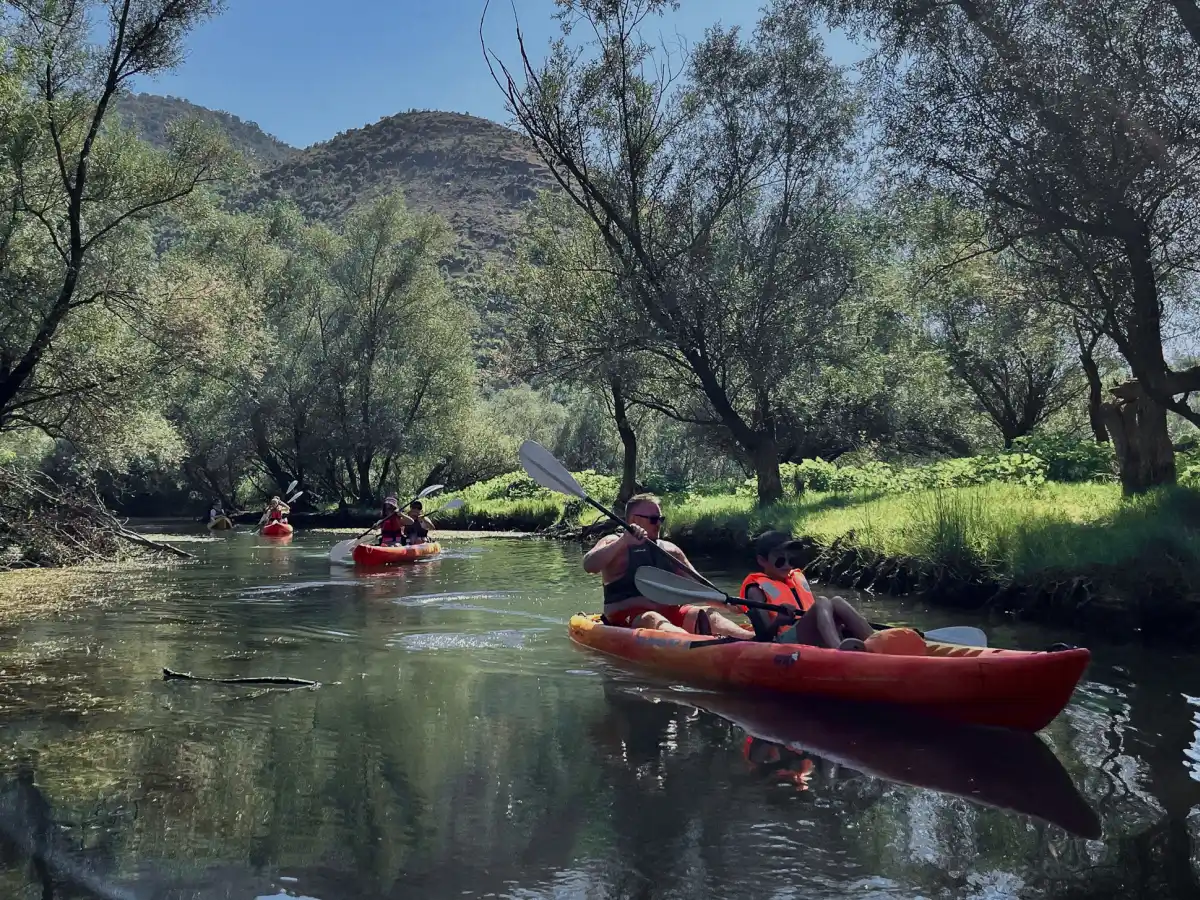 Tandem kayak leading a small group through a shaded willow channel