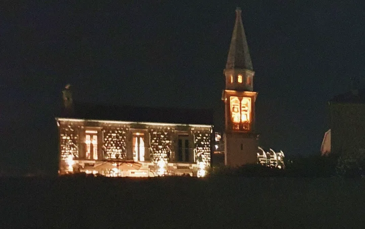 Prickly pear cactus on Sveti Nikola Island coastline near Budva, Montenegro