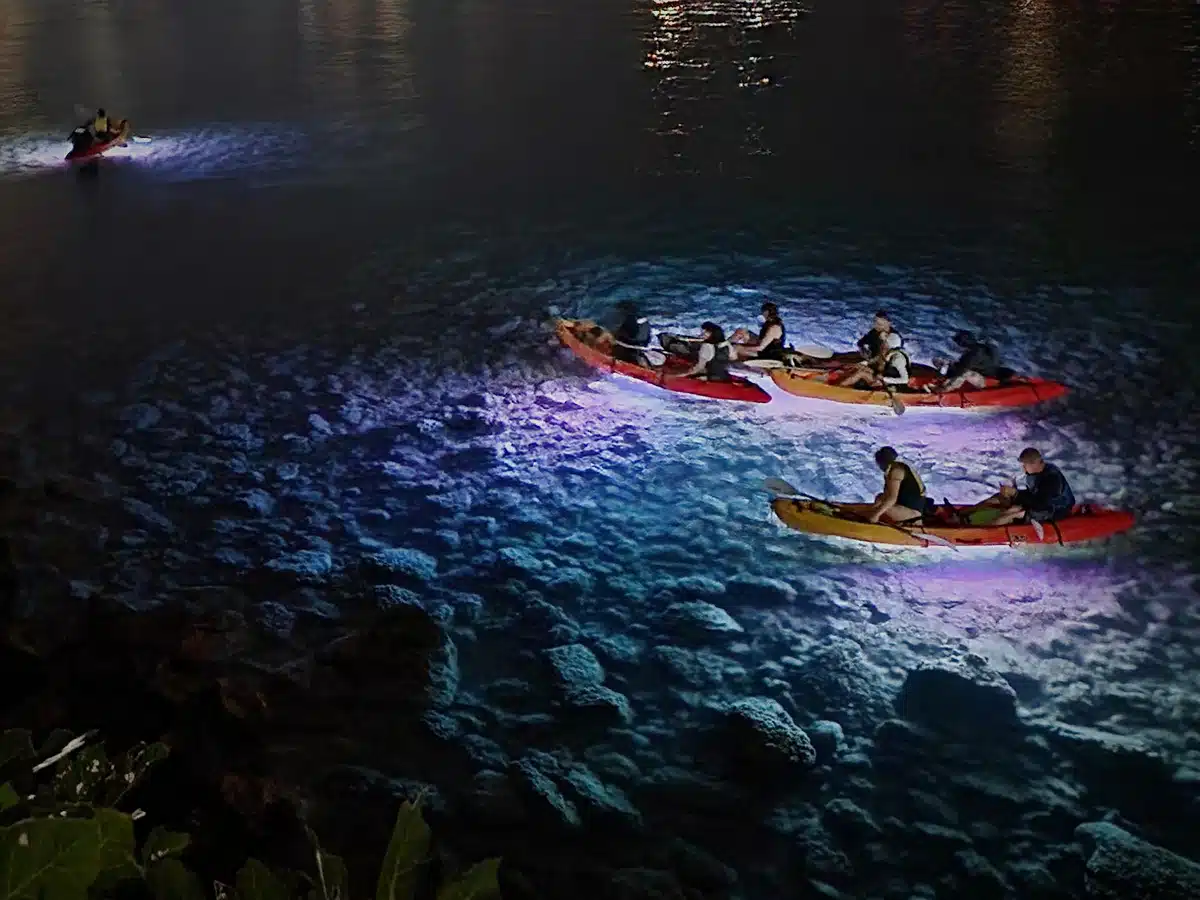 Small group of LED-lit kayaks glowing blue beneath the surface at night