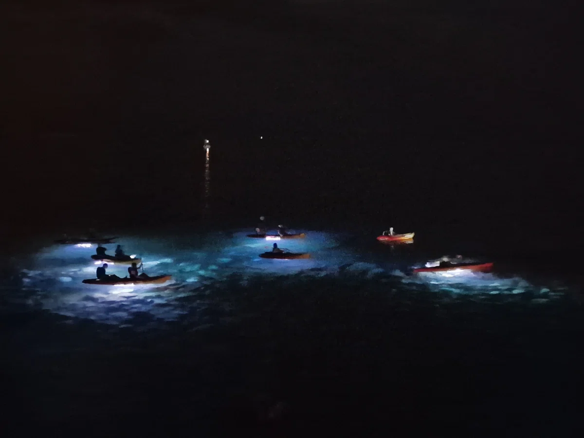 Three kayaks forming pools of blue light on the dark sea