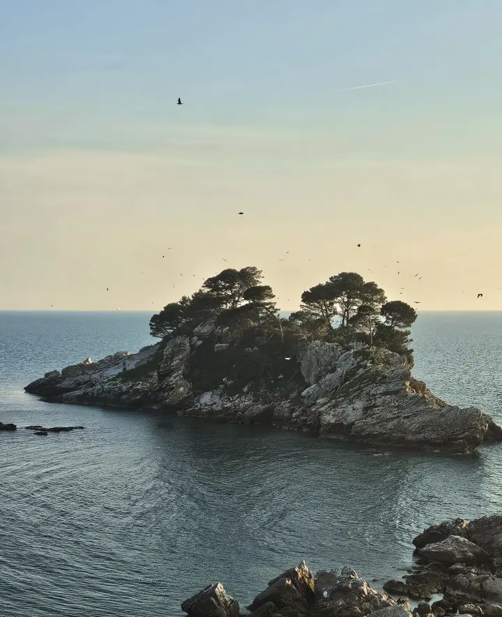 Rocky islet with pine trees in a calm sea at sunset