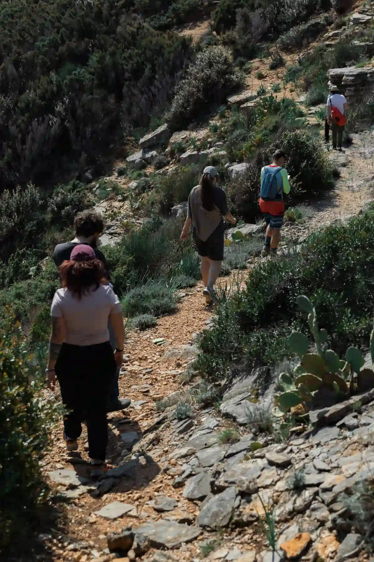 Group of hikers descending a rocky path through low shrubs on Sveti Nikola Island