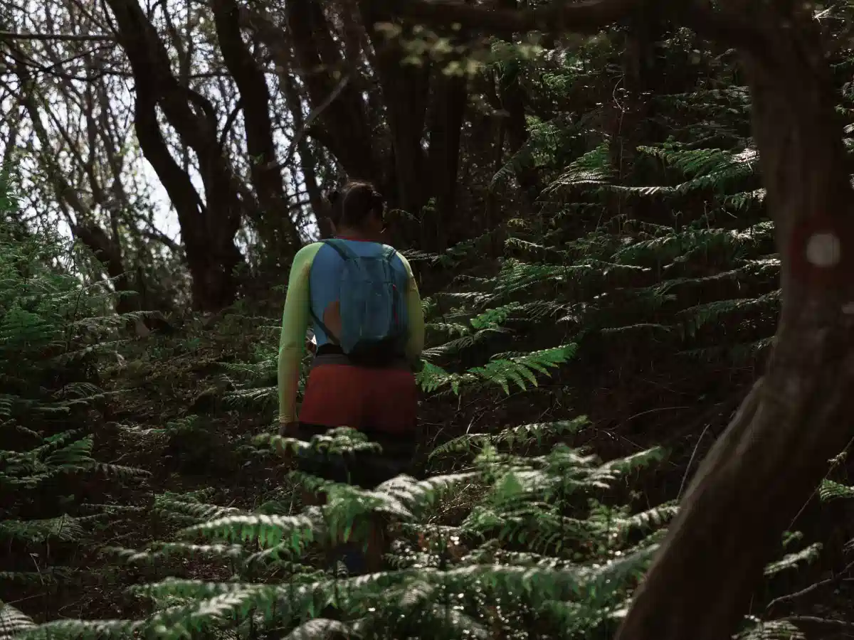 Backpacker descending wooden steps through shaded greenery on Sveti Nikola Island