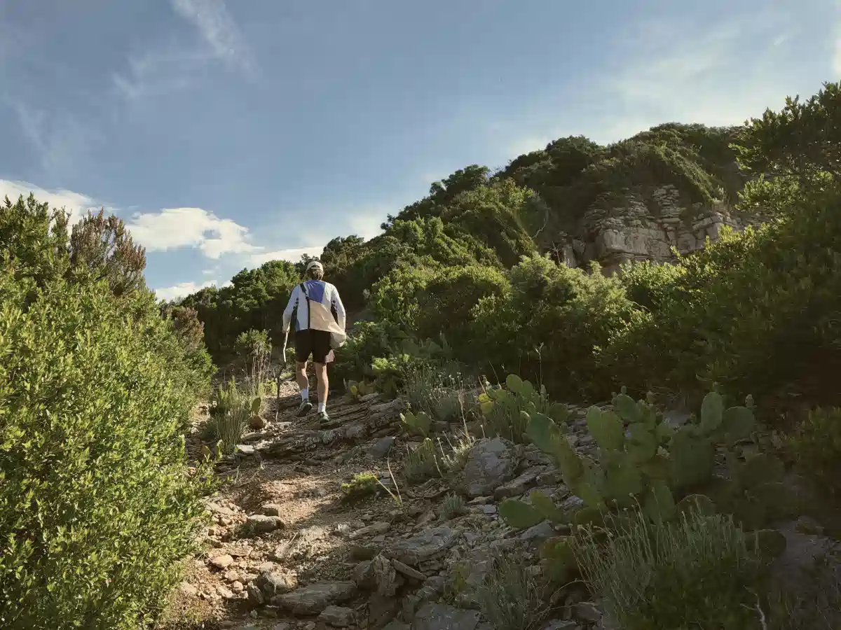 Coastal path winding through pines and shrubs toward a low hill on Sveti Nikola Island