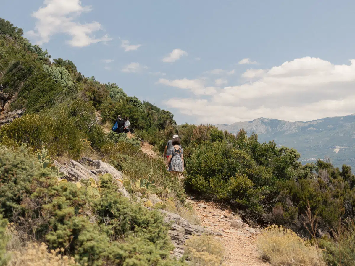 Sunny hillside with a faint walking trail and views of the Adriatic