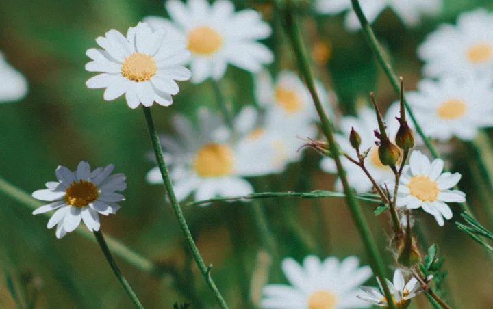 Group of people close to the water