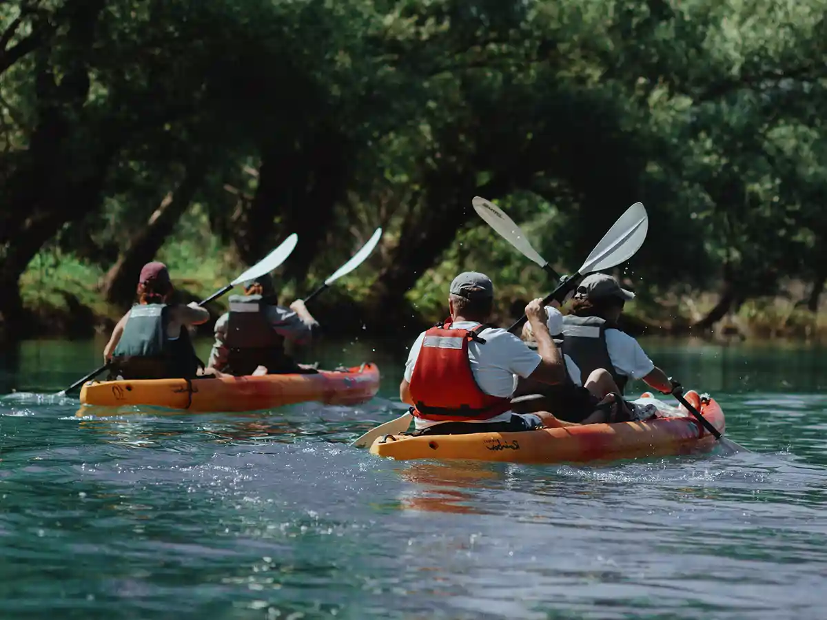 Guided sit-on-top kayak group on the Moraca River by Vranjina Island, Skadar Lake