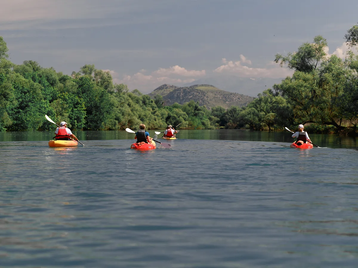 Kayak group gliding along a wide bend of the Moraca River near Vranjina, Skadar Lake